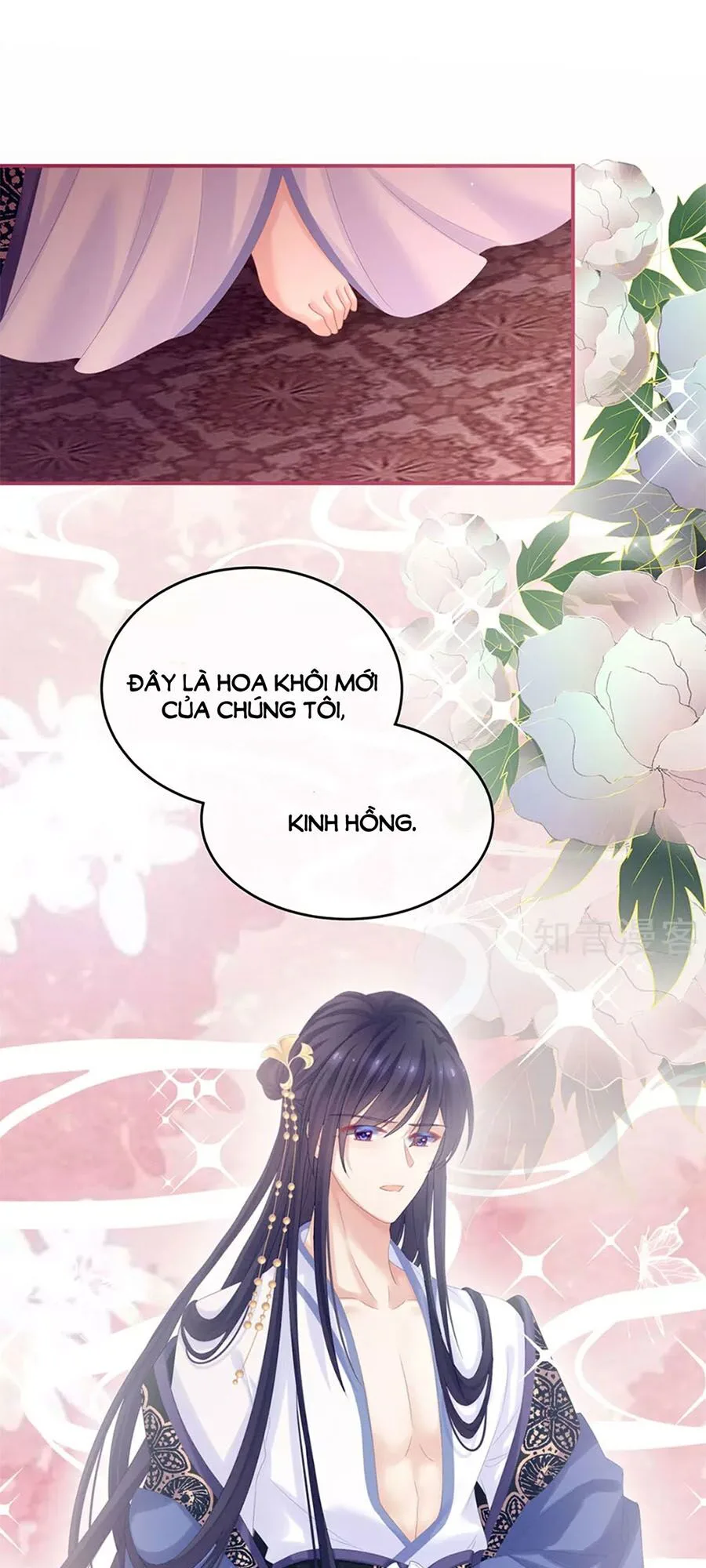 Hậu Cung Của Nữ Đế chương 171 - trang 12