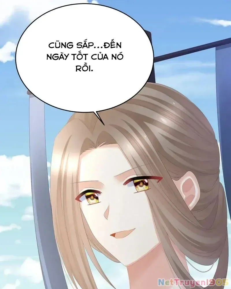 Hậu Cung Của Nữ Đế chương 386 - trang 48