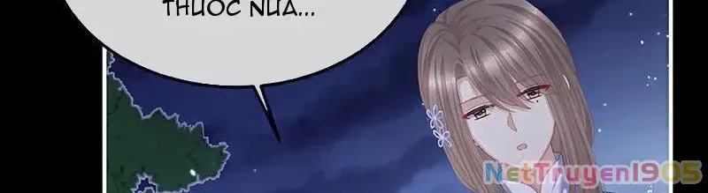 Hậu Cung Của Nữ Đế chương 398 - trang 27