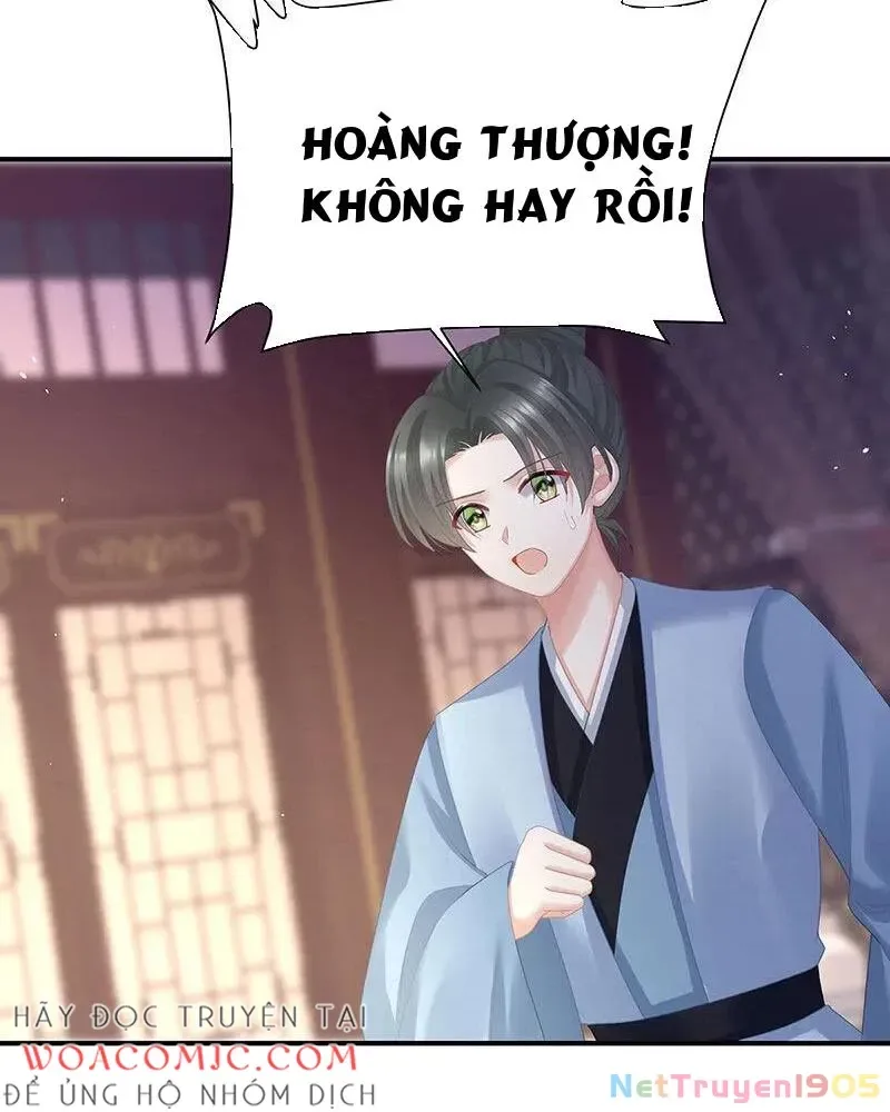 Hậu Cung Của Nữ Đế chương 445 - trang 56