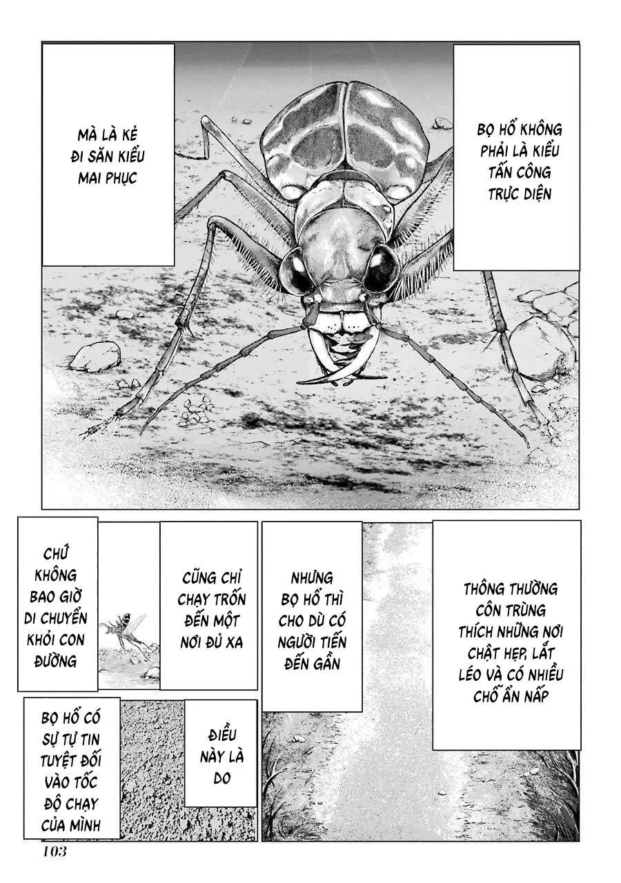 Choubu No Shinobi chương 17 - trang 25