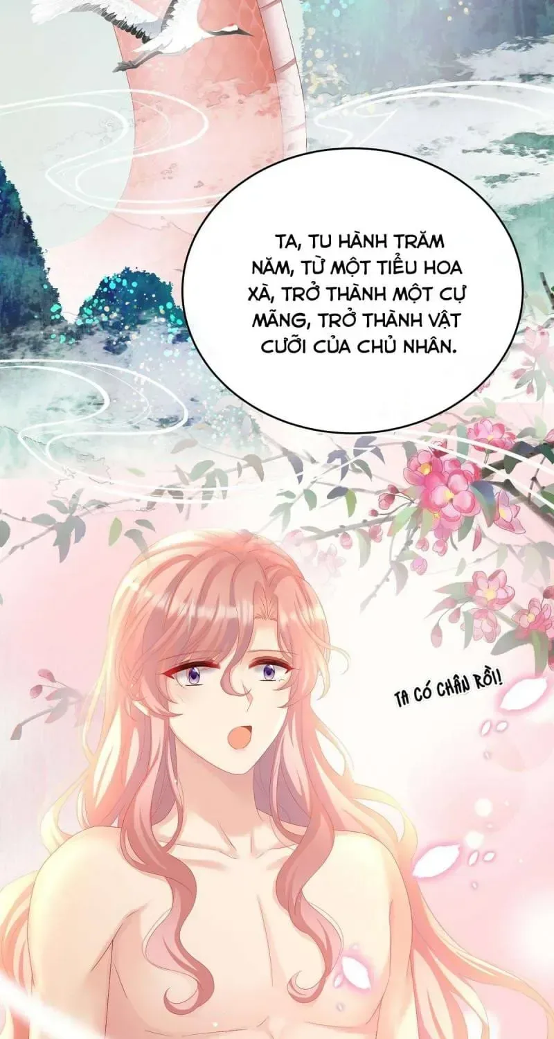 Kiều Phu Có Hỉ chương 77 - trang 13