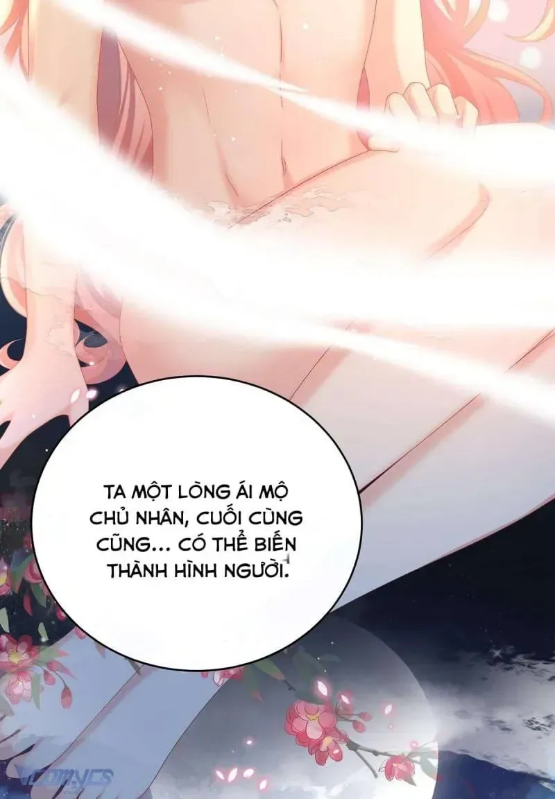 Kiều Phu Có Hỉ chương 77 - trang 14