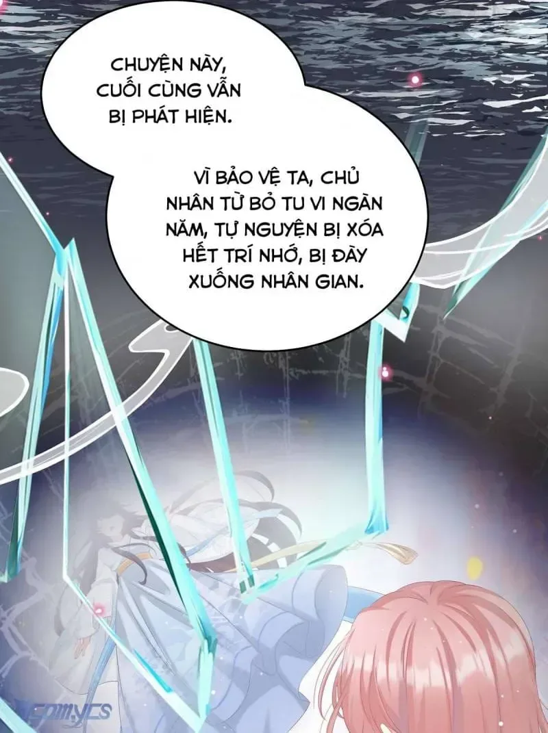 Kiều Phu Có Hỉ chương 77 - trang 16