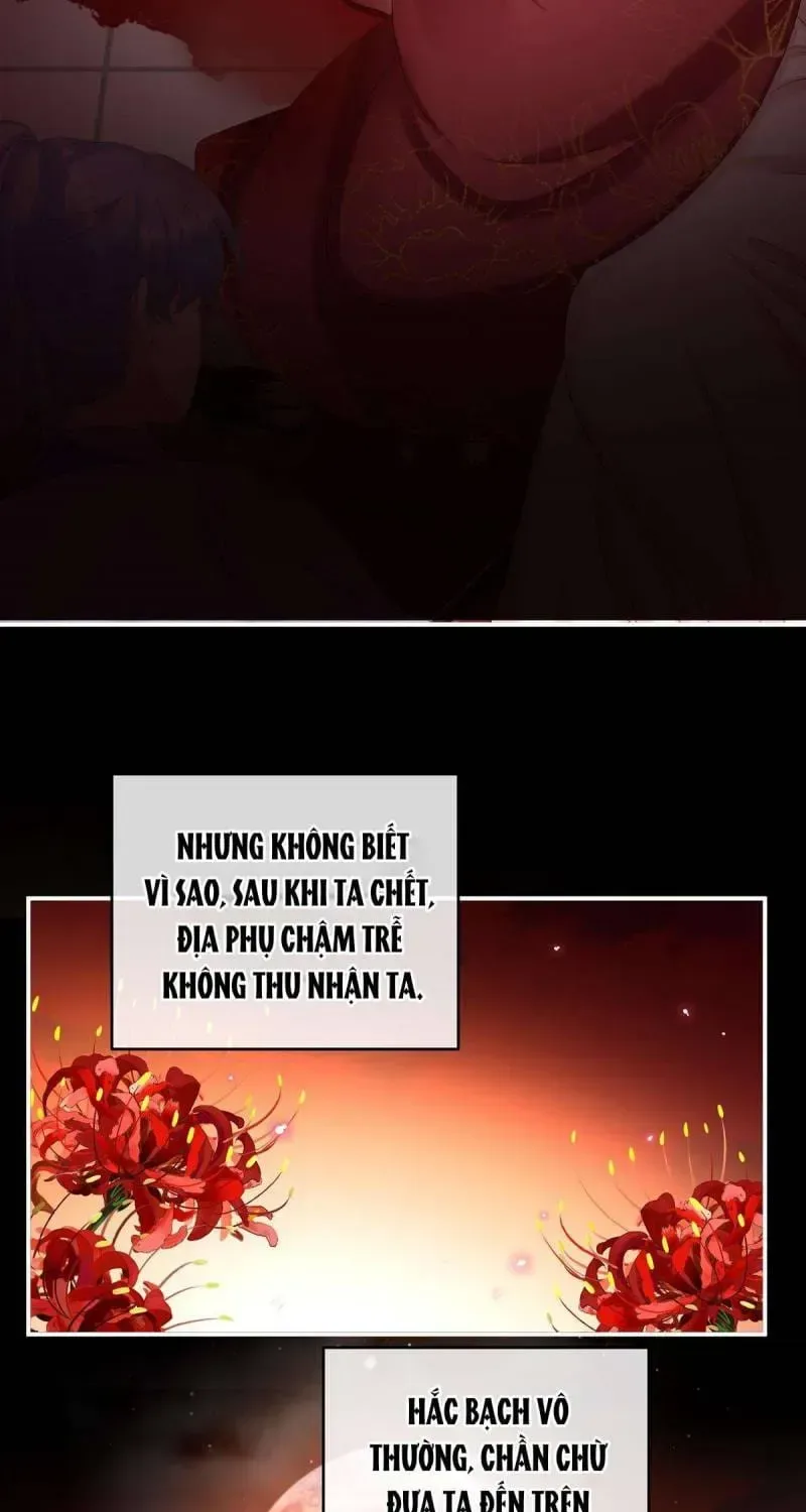 Kiều Phu Có Hỉ chương 77 - trang 25