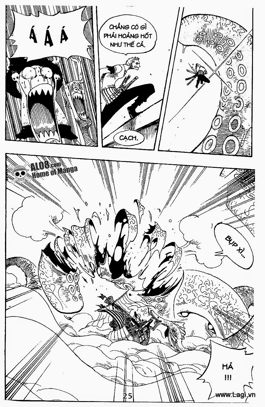 One Piece chương 237 - trang 12