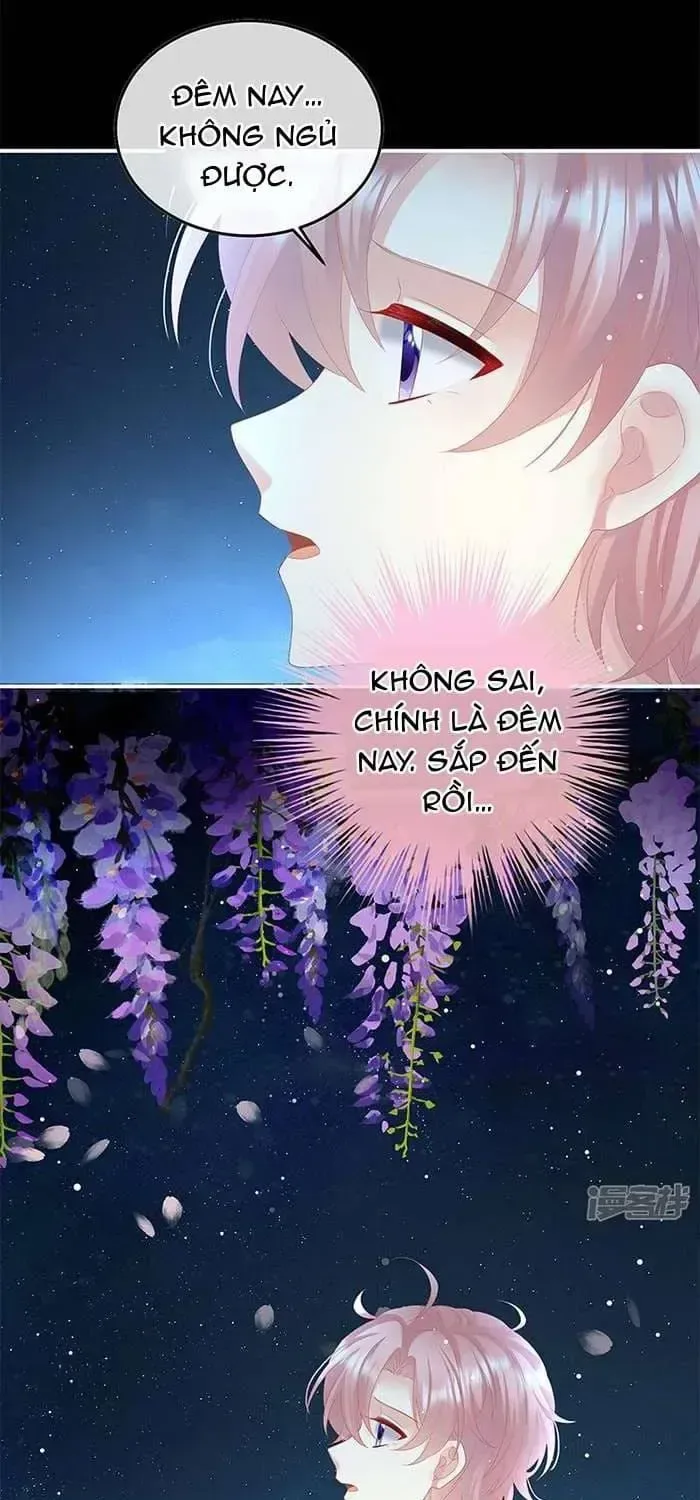 Kiều Phu Có Hỉ chương 123 - trang 36