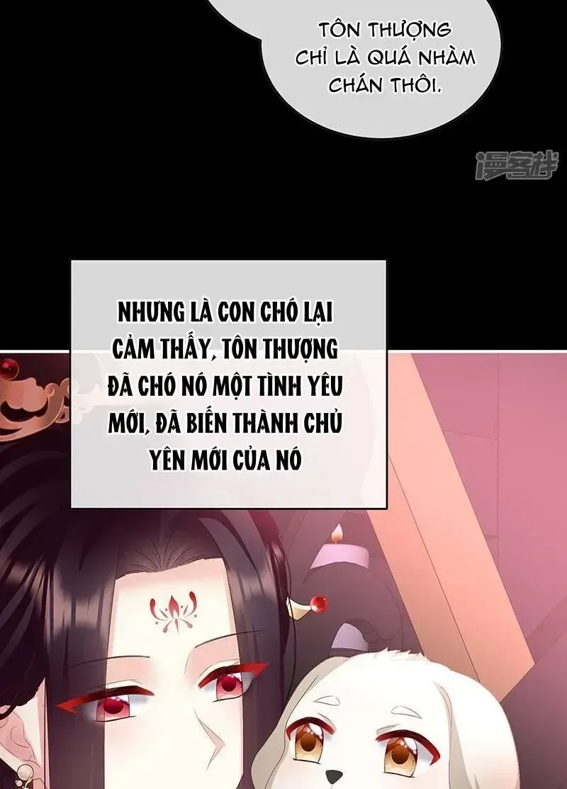 Kiều Phu Có Hỉ chương 141 - trang 23