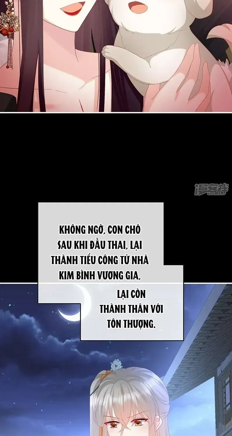 Kiều Phu Có Hỉ chương 141 - trang 24