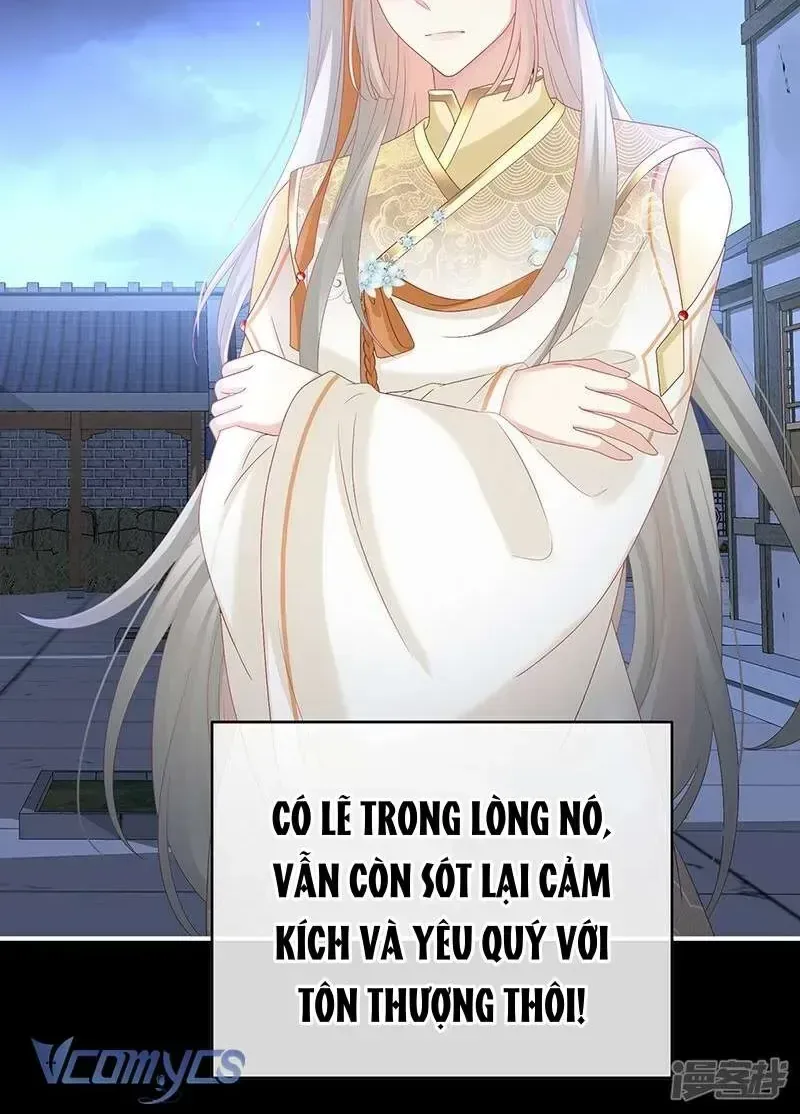 Kiều Phu Có Hỉ chương 141 - trang 25