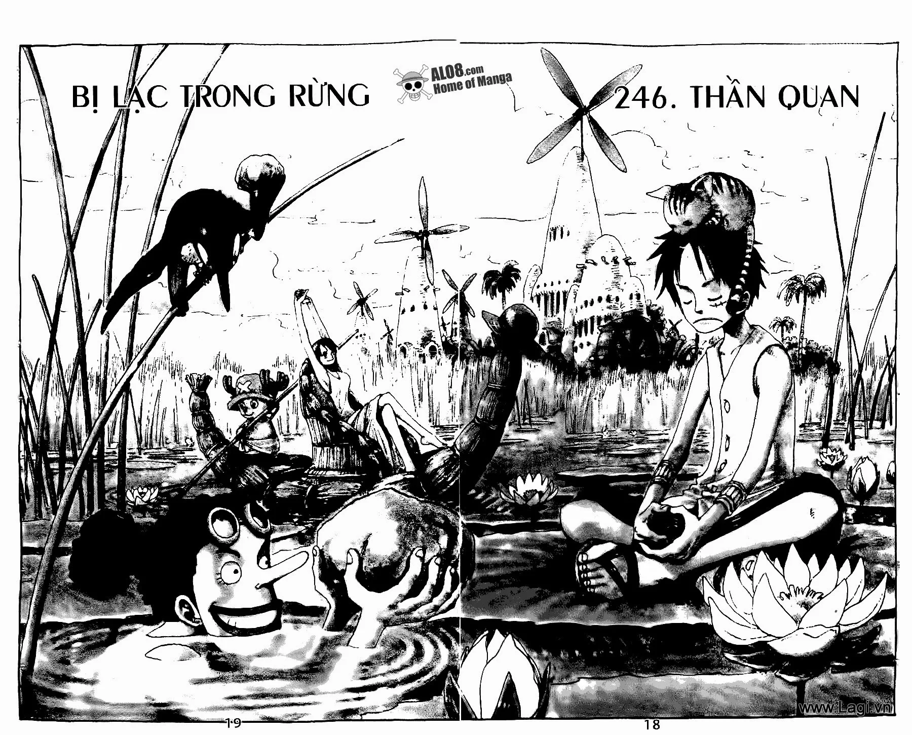 One Piece chương 246 - trang 1