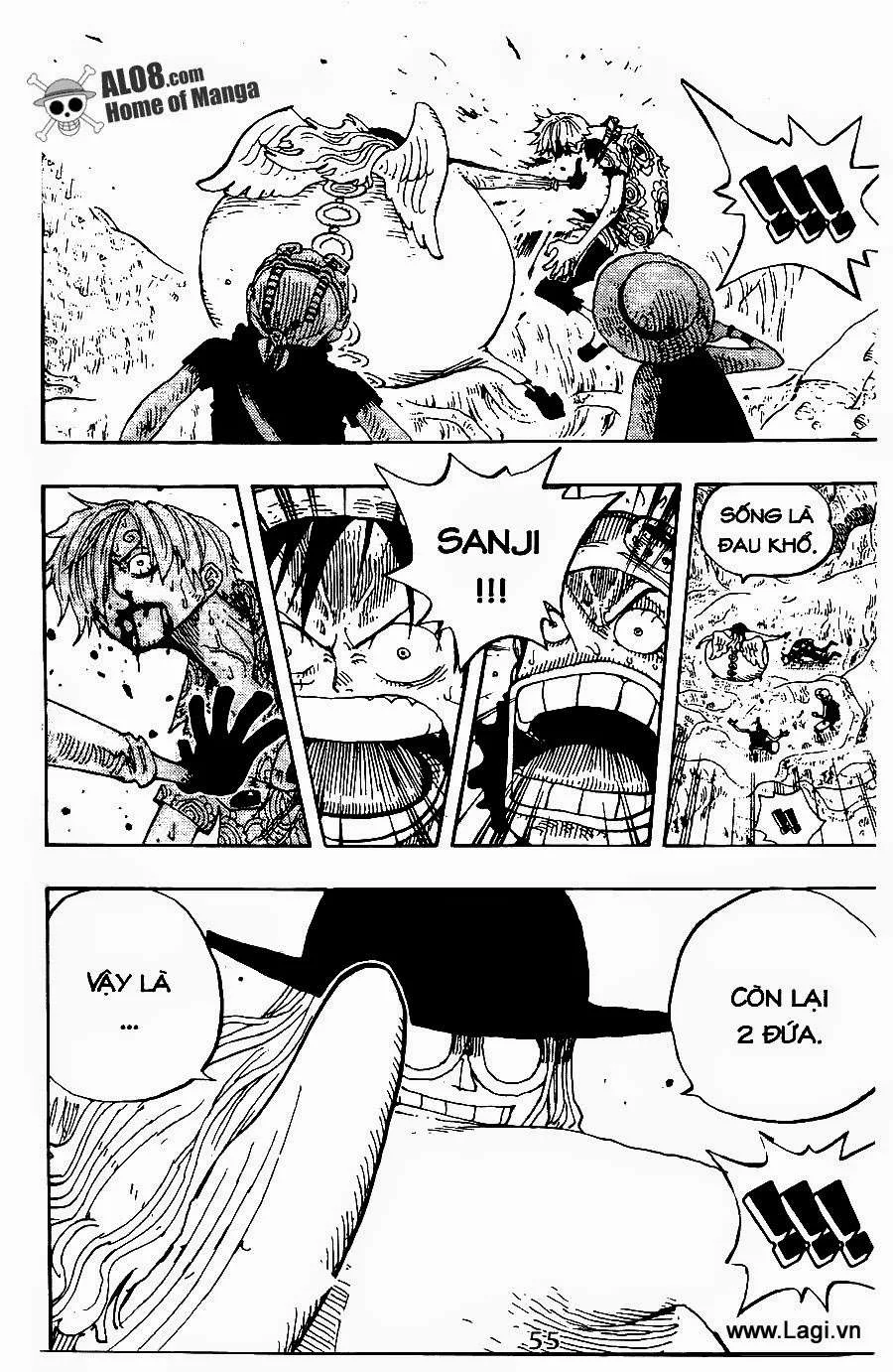 One Piece chương 247 - trang 17