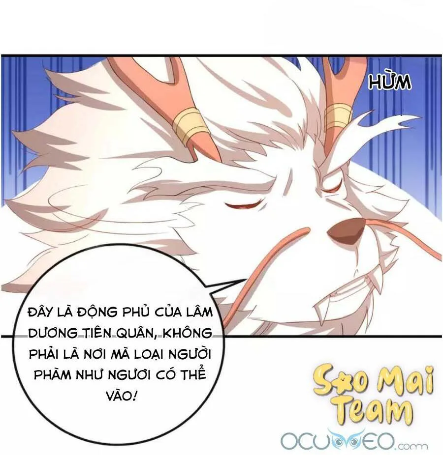 Long Vương Truy Thê chương 10 - trang 14