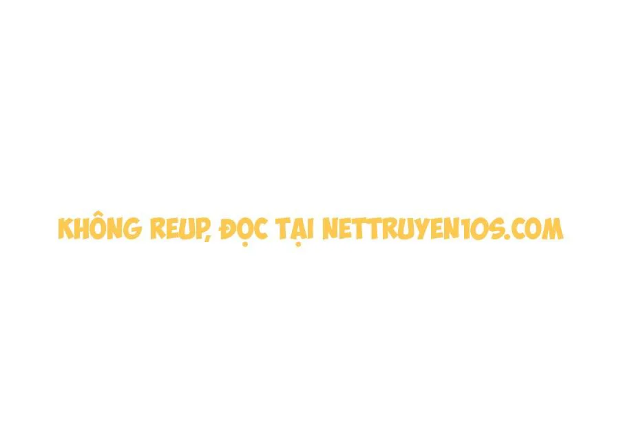 Long Vương Truy Thê chương 16 - trang 11