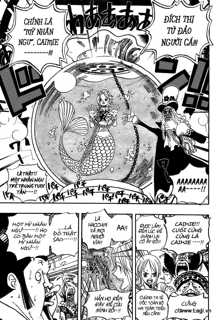One Piece chương 502 - trang 7