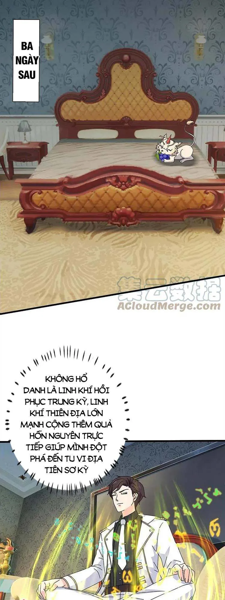 Vạn Cổ Thần Vương chương 384 - trang 12
