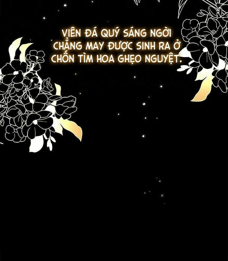Tìm Lại Camellia chương 1 - trang 29