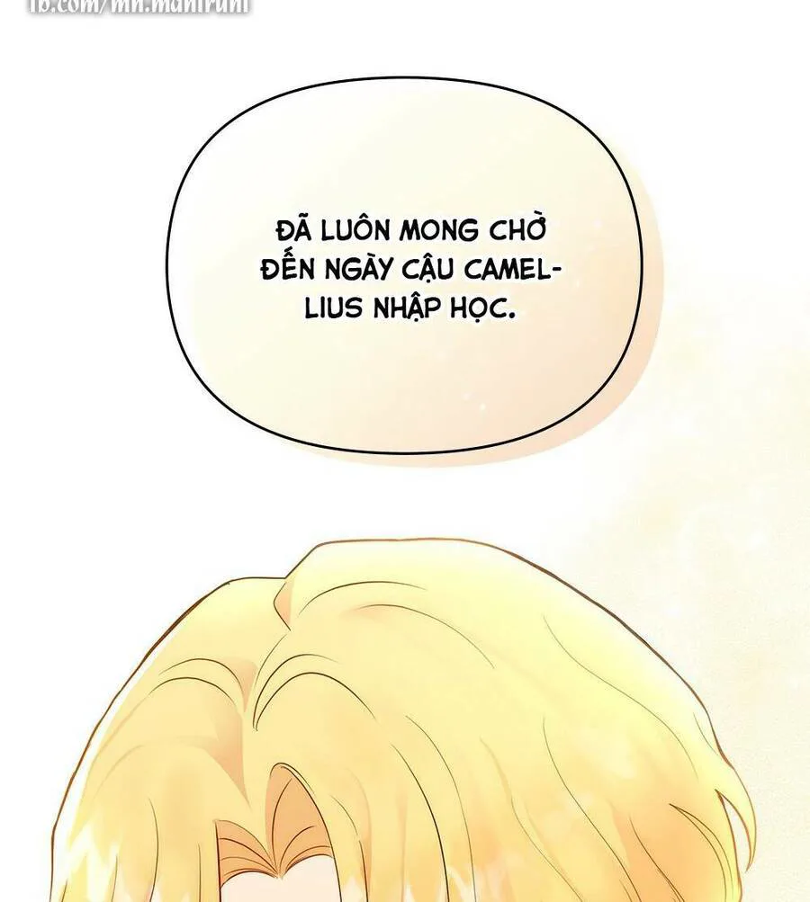 Tìm Lại Camellia chương 29 - trang 43
