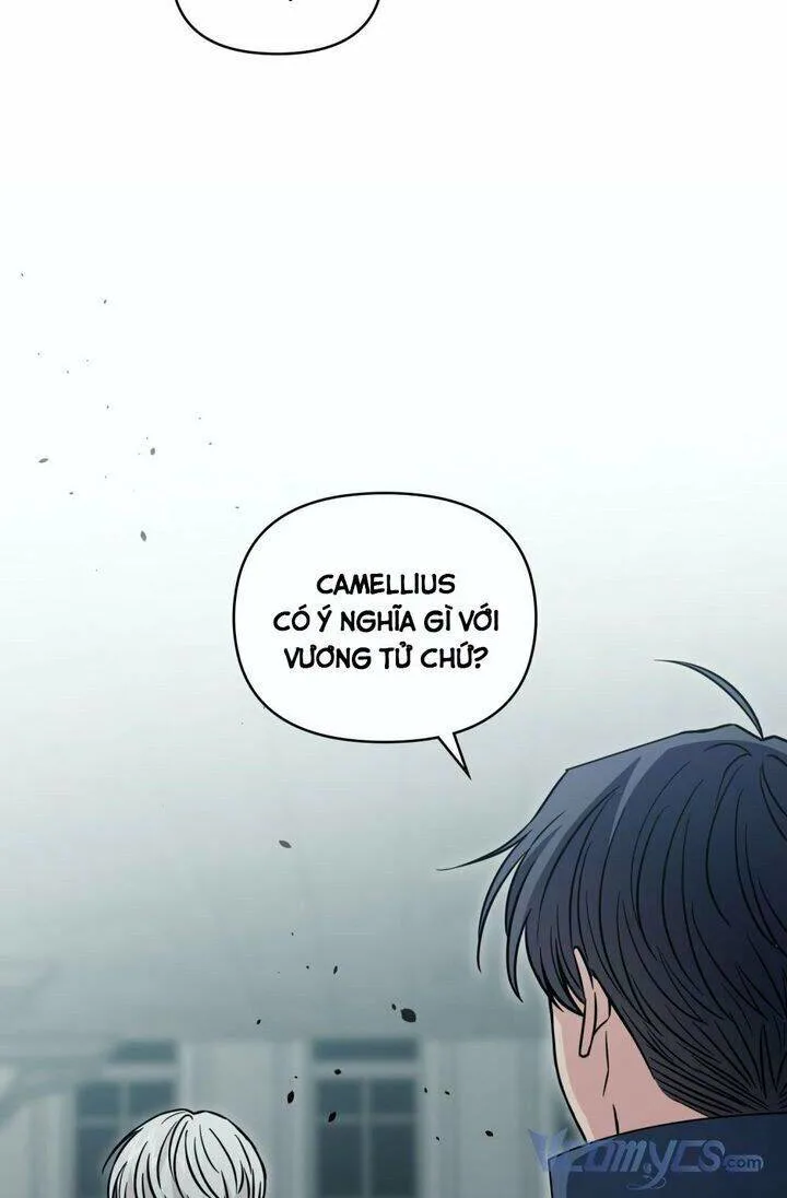 Tìm Lại Camellia chương 46 - trang 61