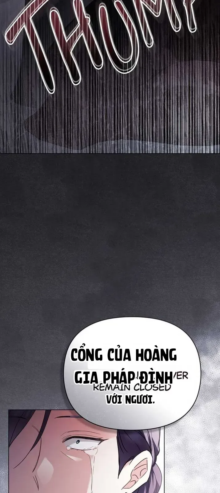 Tìm Lại Camellia chương 98 - trang 30