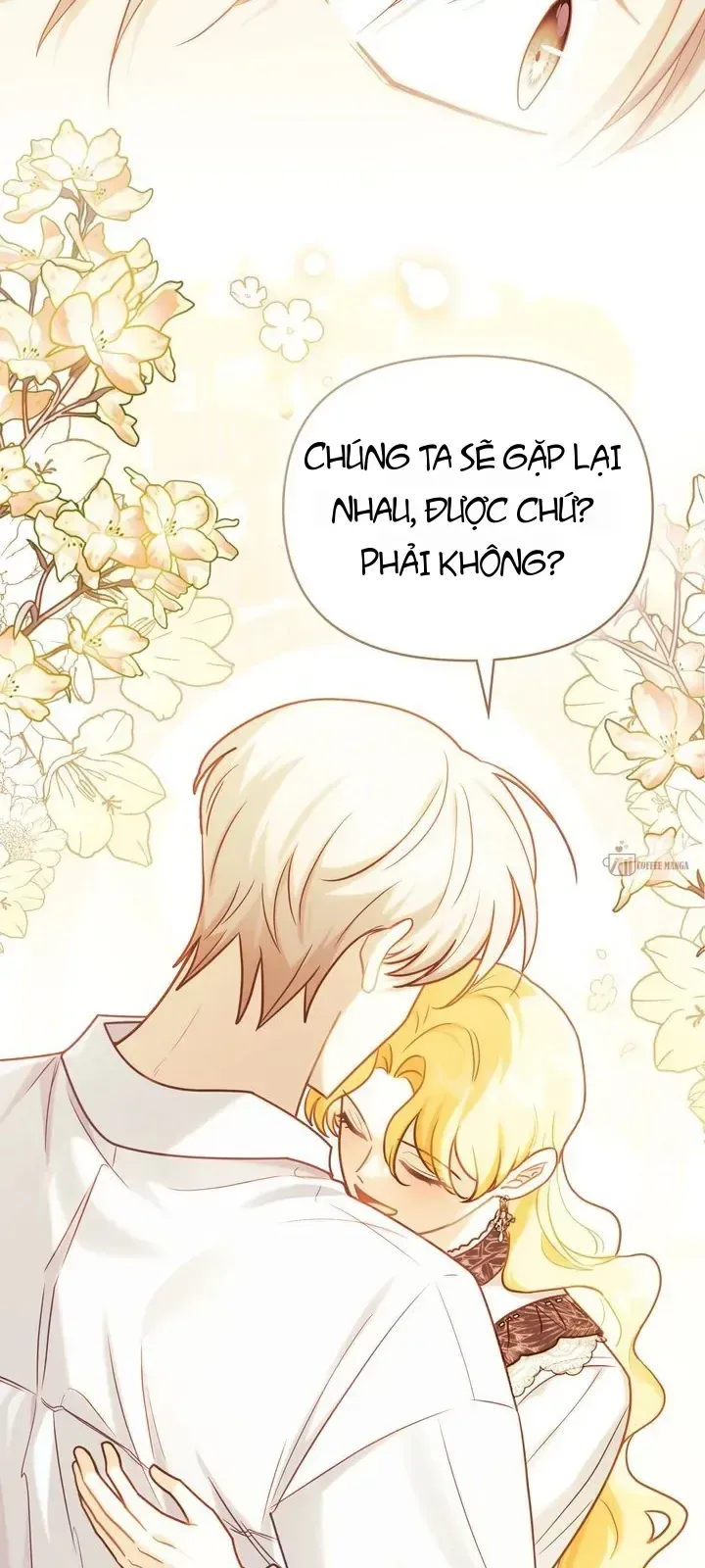 Tìm Lại Camellia chương 123 - trang 24