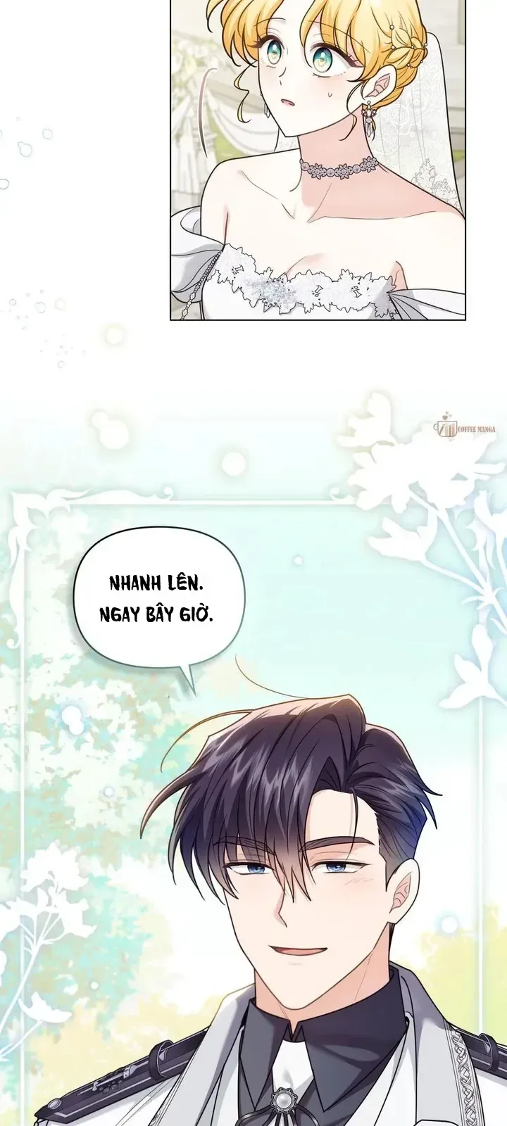 Tìm Lại Camellia chương 129 - trang 11