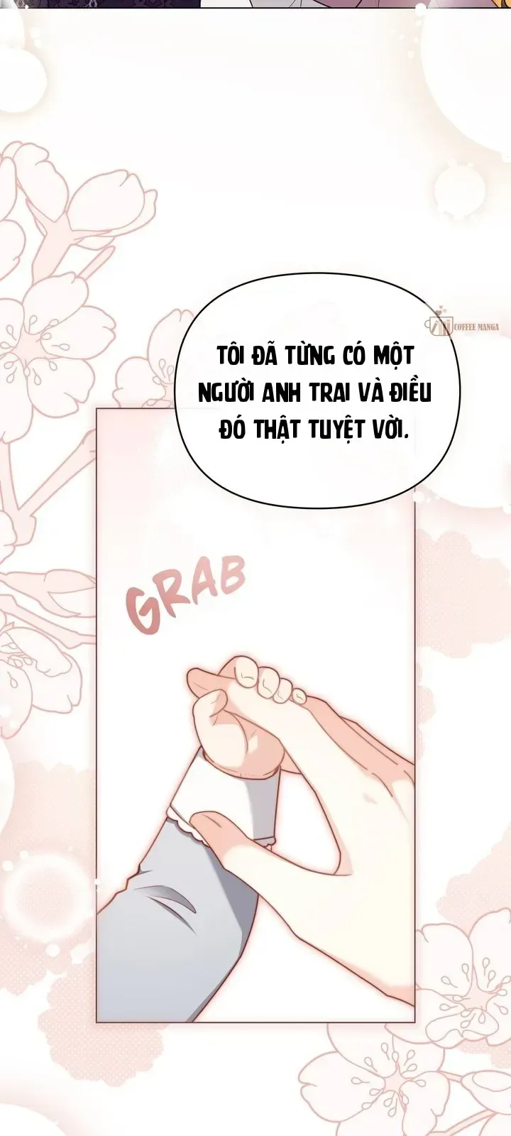 Tìm Lại Camellia chương 132 - trang 30