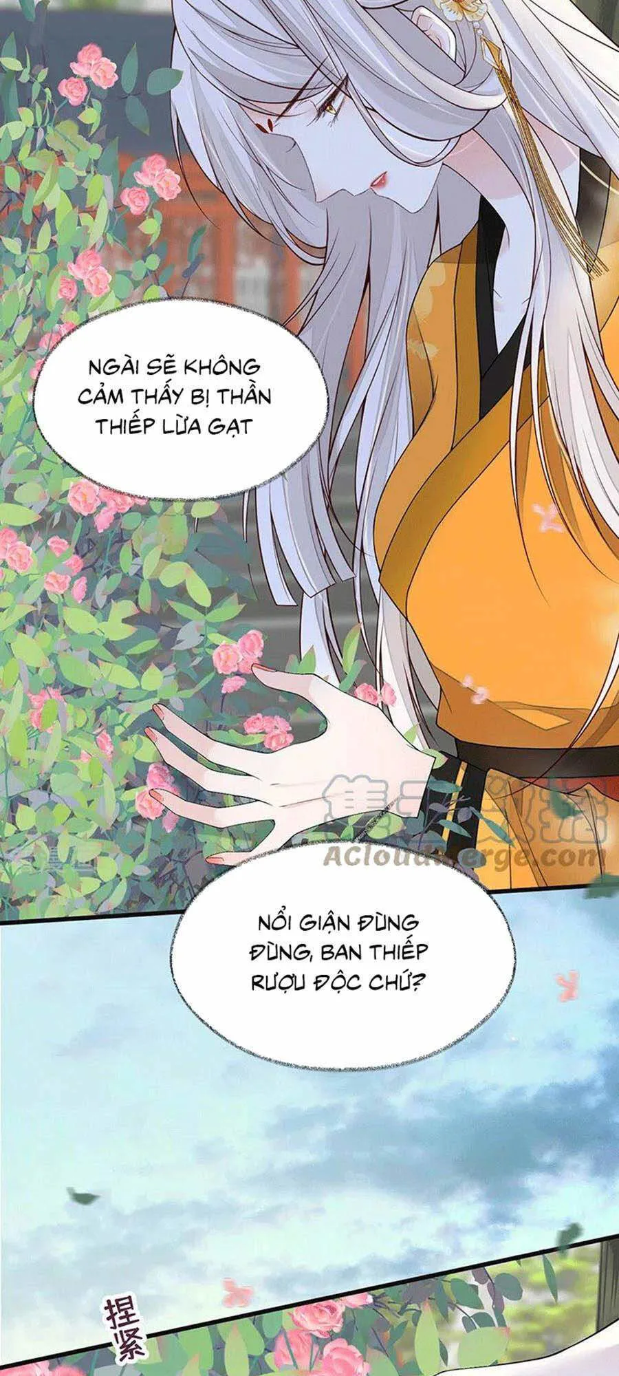 Thái Hậu Quân Hạ Thần chương 104 - trang 20