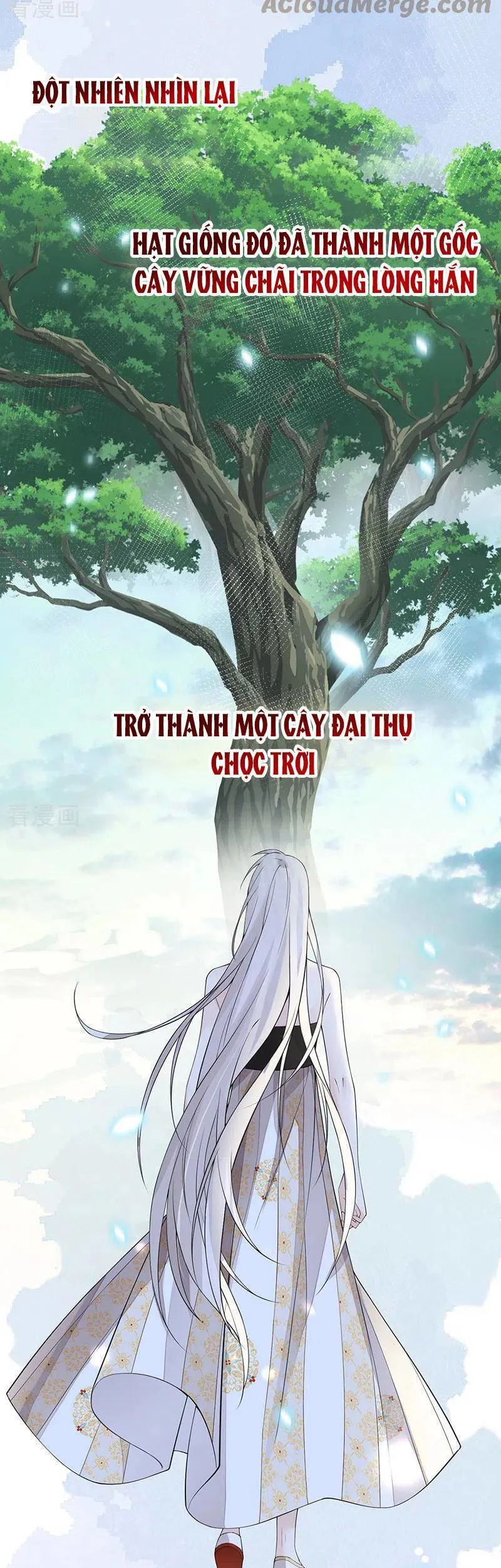 Thái Hậu Quân Hạ Thần chương 132 - trang 15