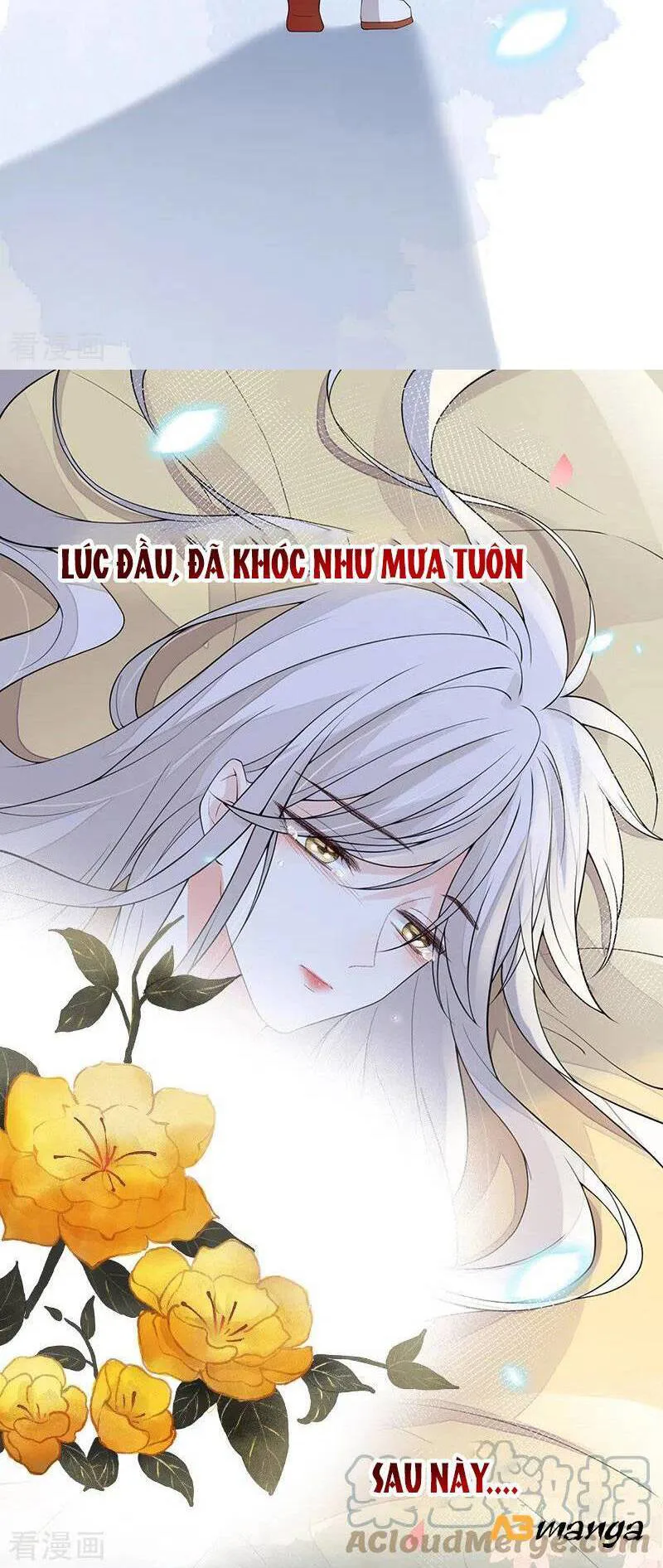 Thái Hậu Quân Hạ Thần chương 132 - trang 16