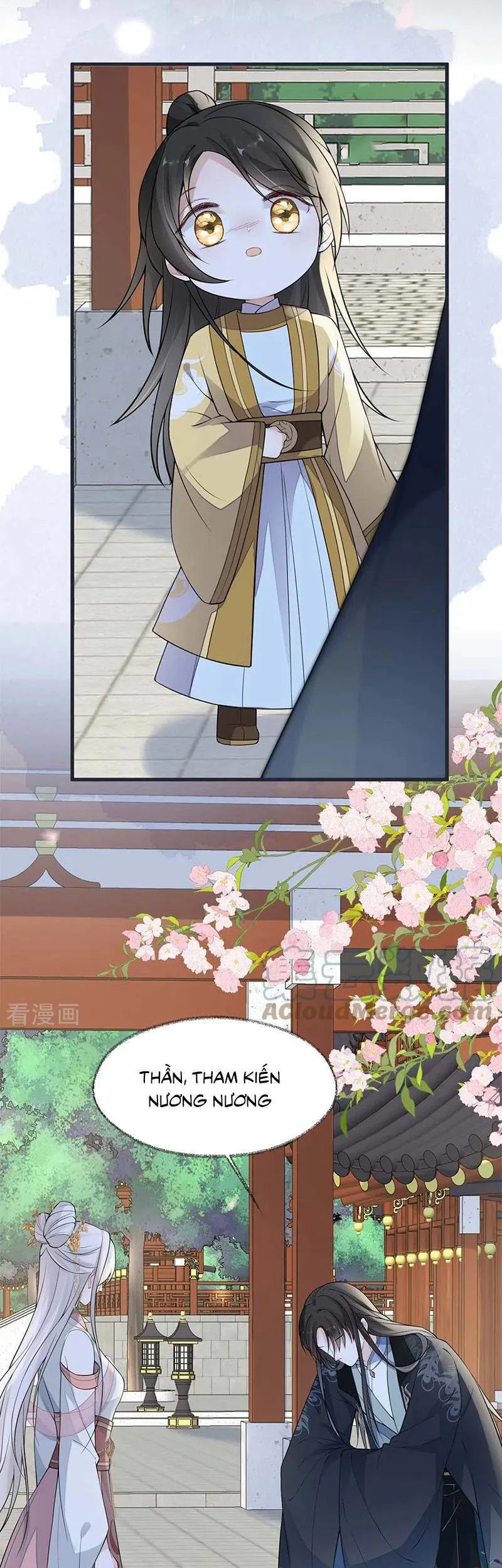 Thái Hậu Quân Hạ Thần chương 139 - trang 18