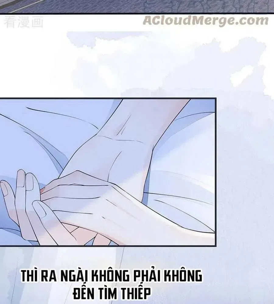 Thái Hậu Quân Hạ Thần chương 164.2 - trang 15