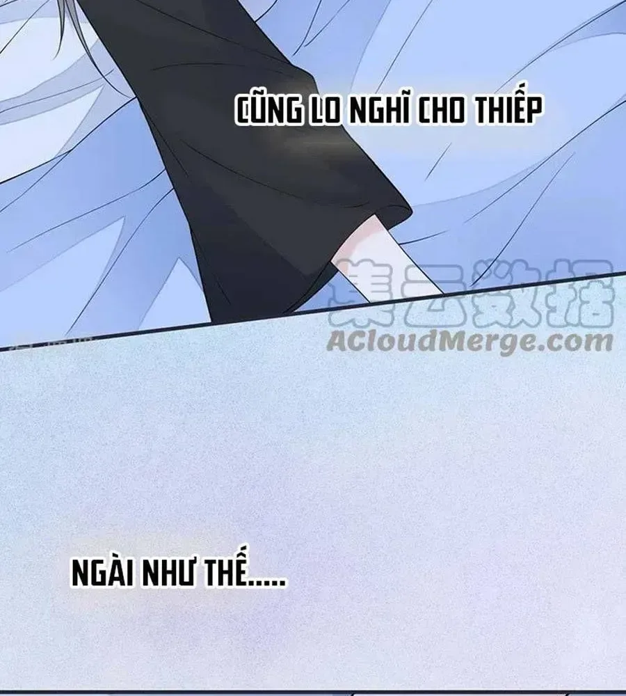 Thái Hậu Quân Hạ Thần chương 164.2 - trang 18