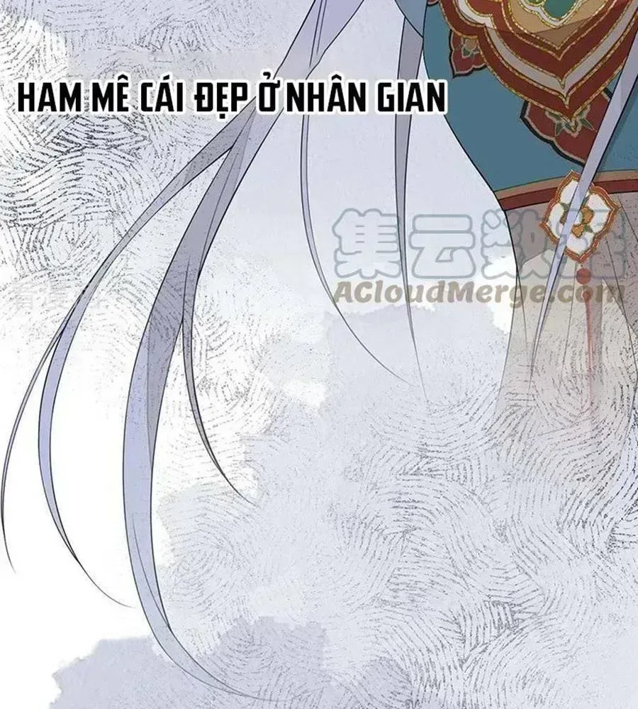 Thái Hậu Quân Hạ Thần chương 166.4 - trang 16