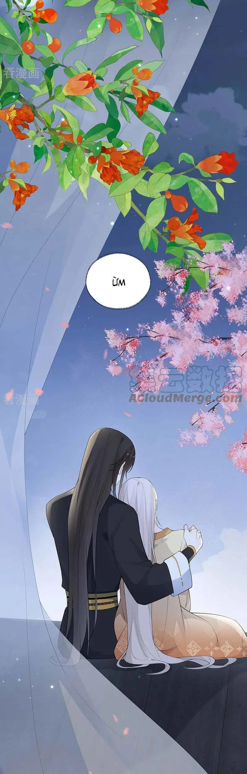 Thái Hậu Quân Hạ Thần chương 171 - trang 29