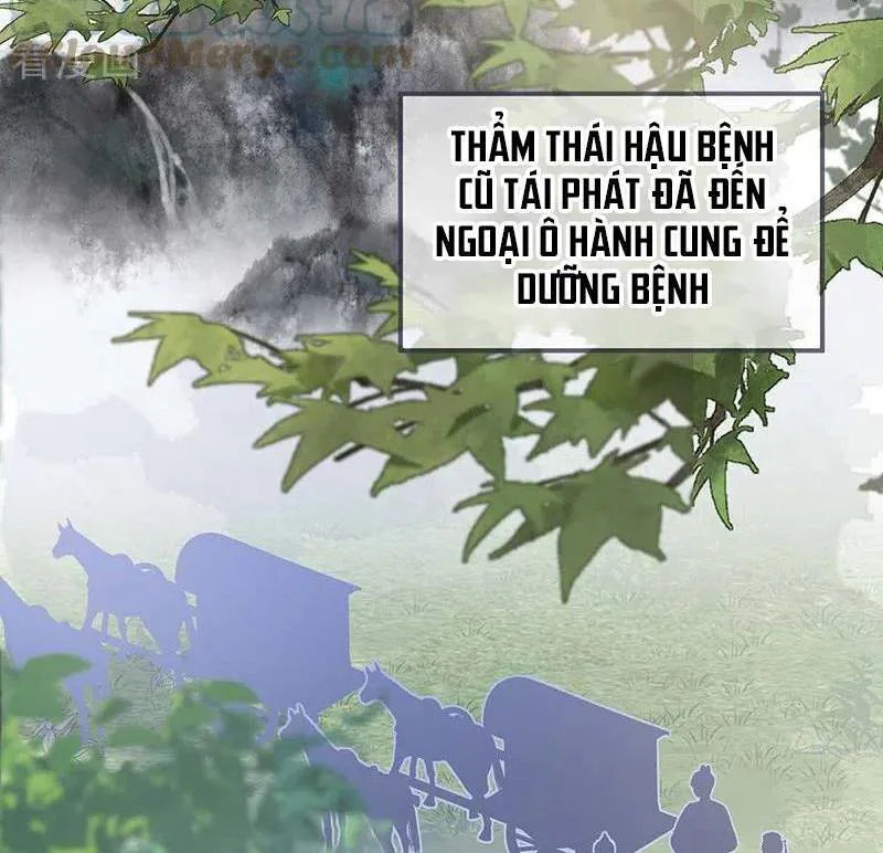 Thái Hậu Quân Hạ Thần chương 173 - trang 22