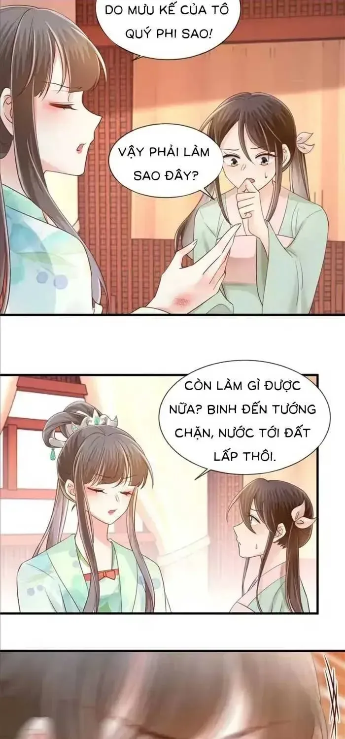 Thiên Kim Độc Phi Trọng Sinh chương 63 - trang 15