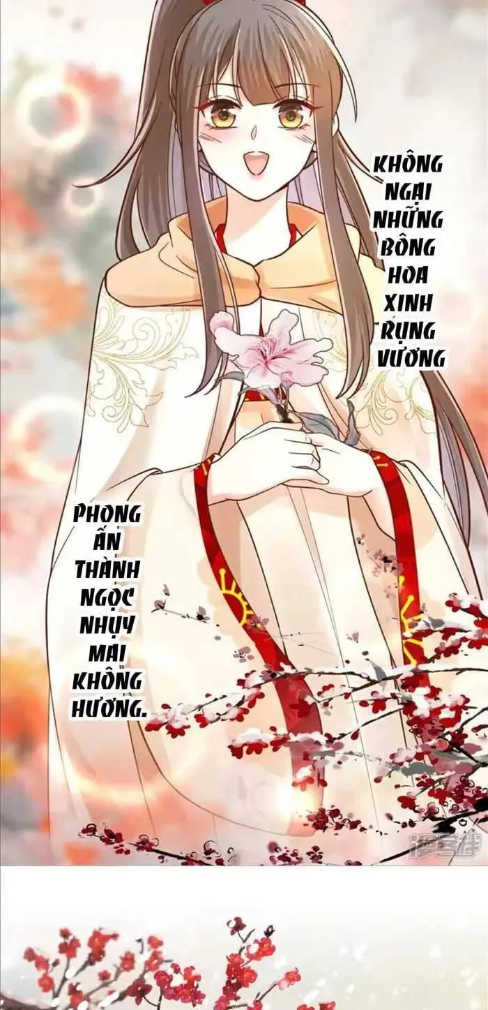 Thiên Kim Độc Phi Trọng Sinh chương 75 - trang 23