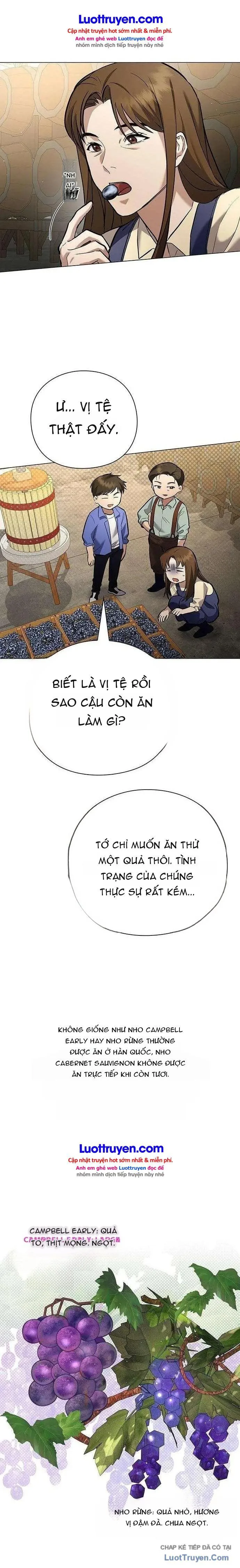 Thần Rượu Vang chương 6 - trang 24