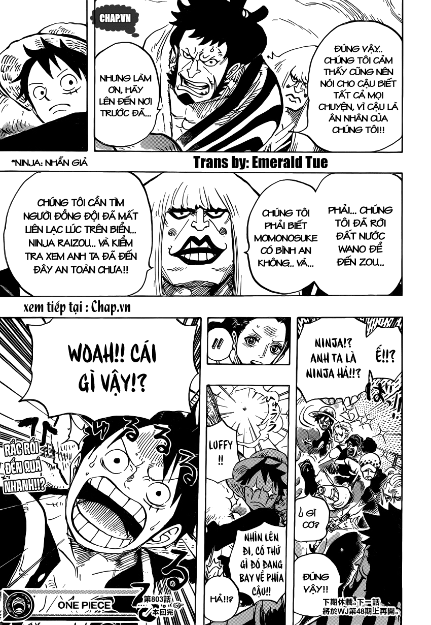 One Piece chương 803 - trang 13