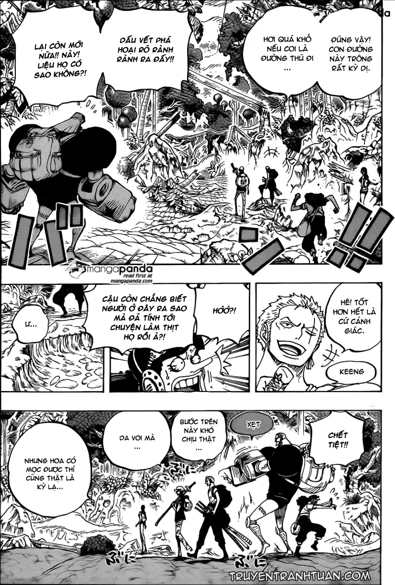 One Piece chương 804 - trang 12