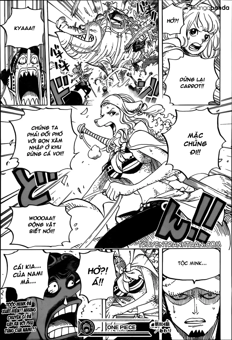 One Piece chương 804 - trang 16