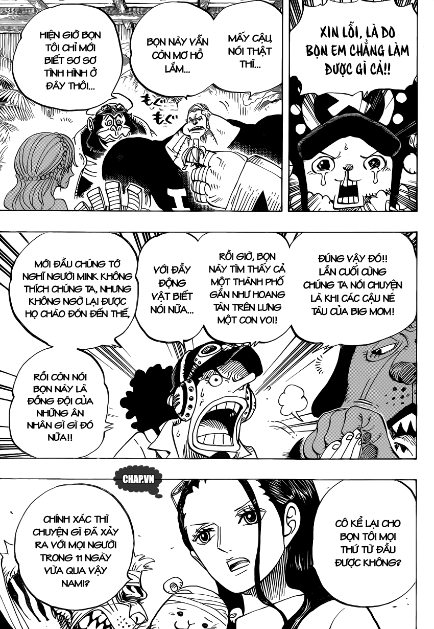 One Piece chương 807 - trang 6