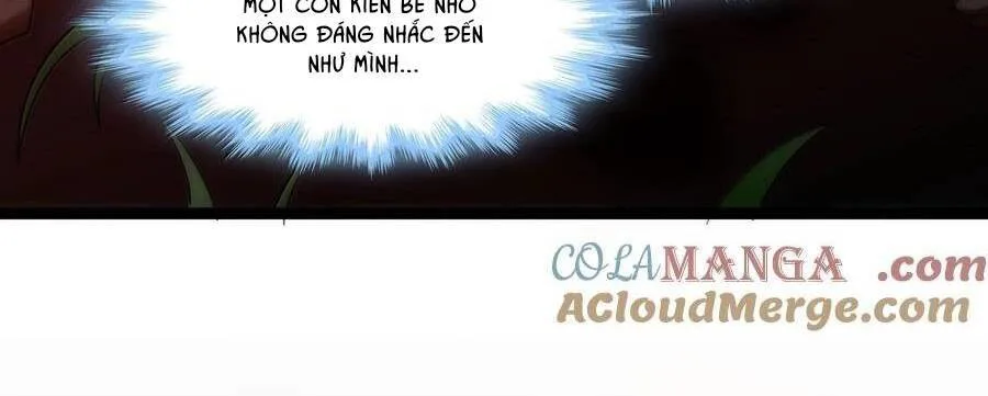 Sức Mạnh Của Ác Thần chương 132 - trang 271