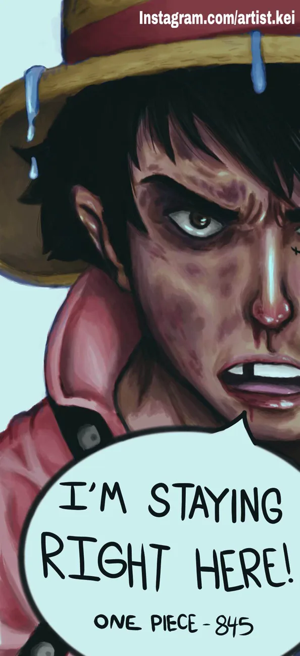 One Piece chương 846 - trang 29