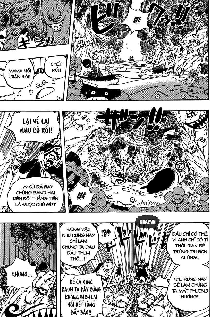 One Piece chương 874 - trang 11