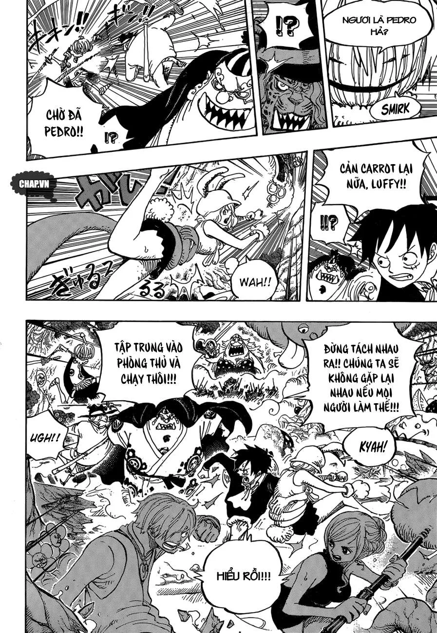 One Piece chương 875 - trang 10