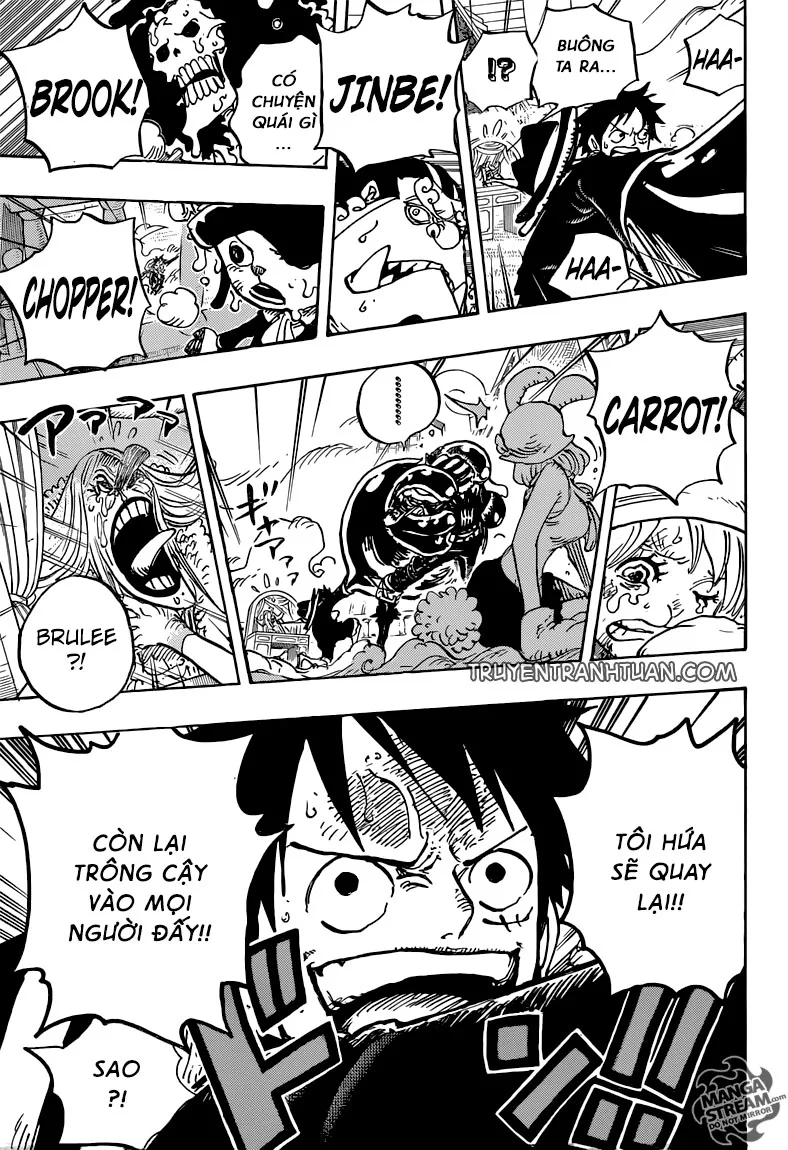 One Piece chương 878 - trang 16