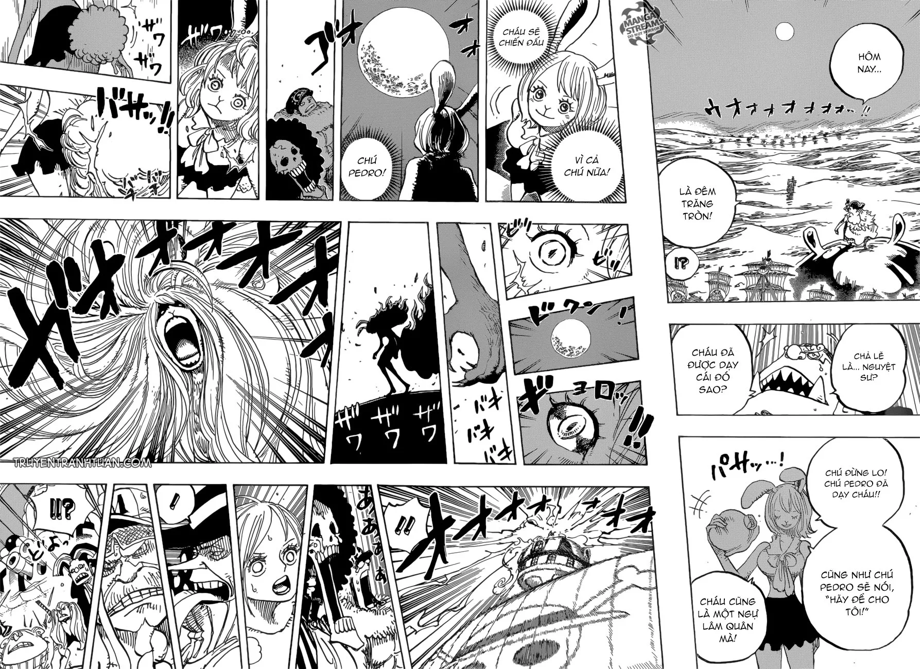 One Piece chương 888 - trang 9