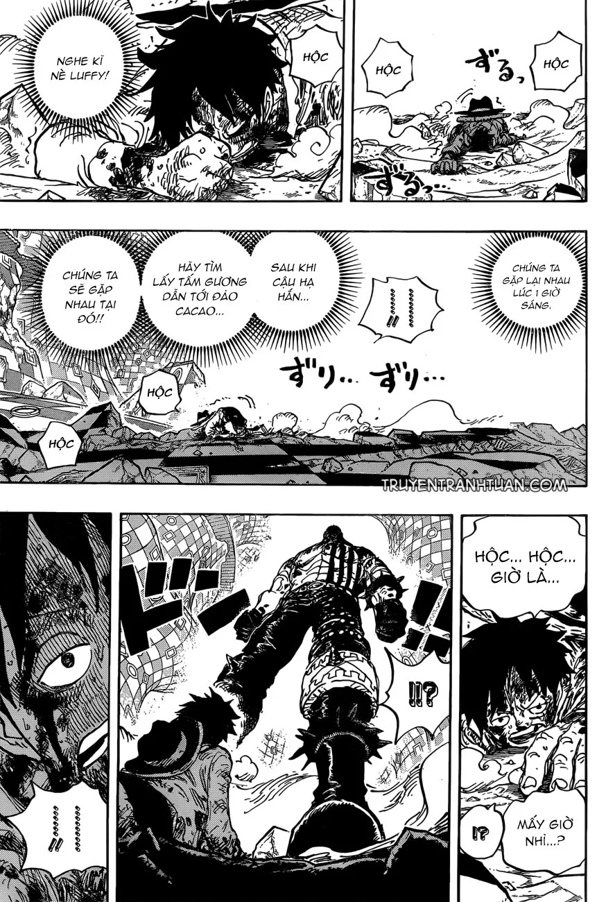 One Piece chương 896 - trang 13